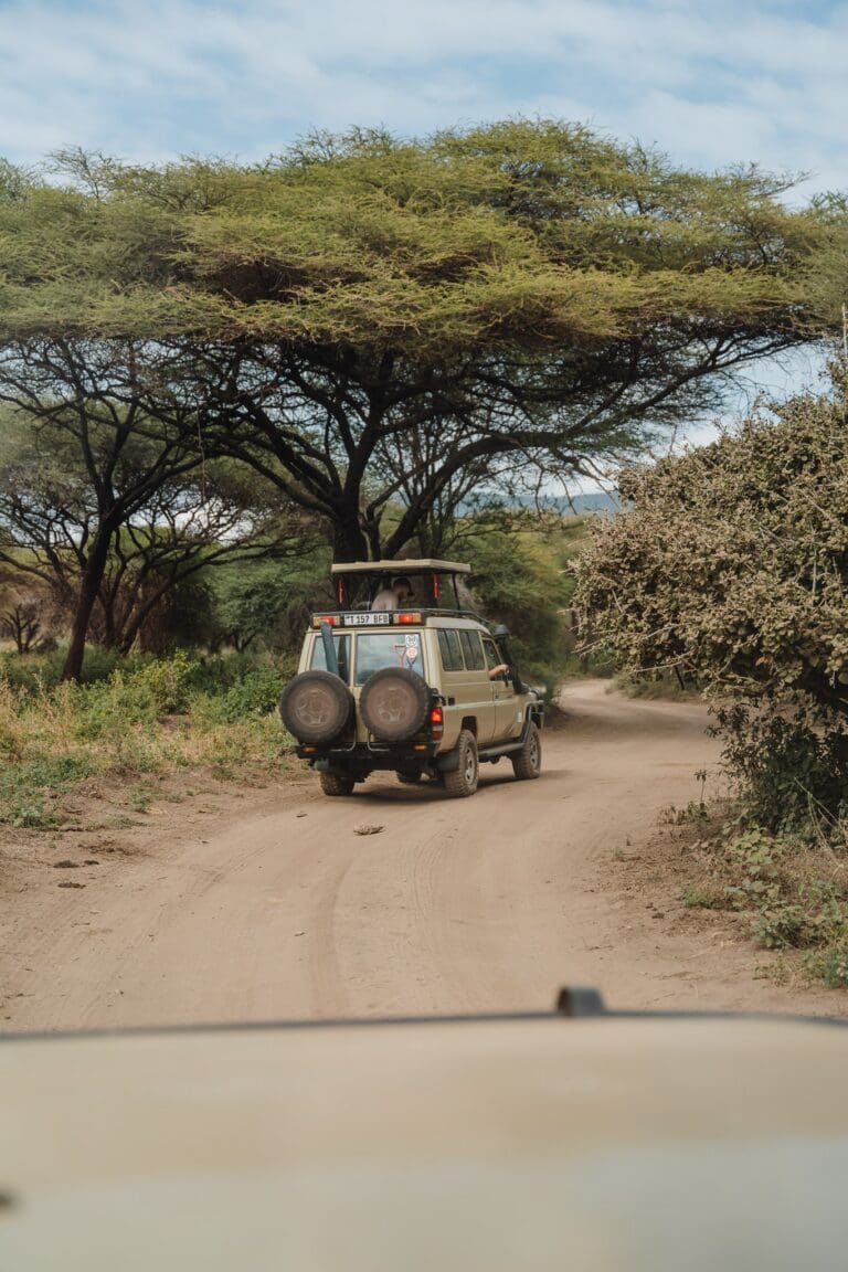safari vehicle driving on dirt road in Tanzanian savanna