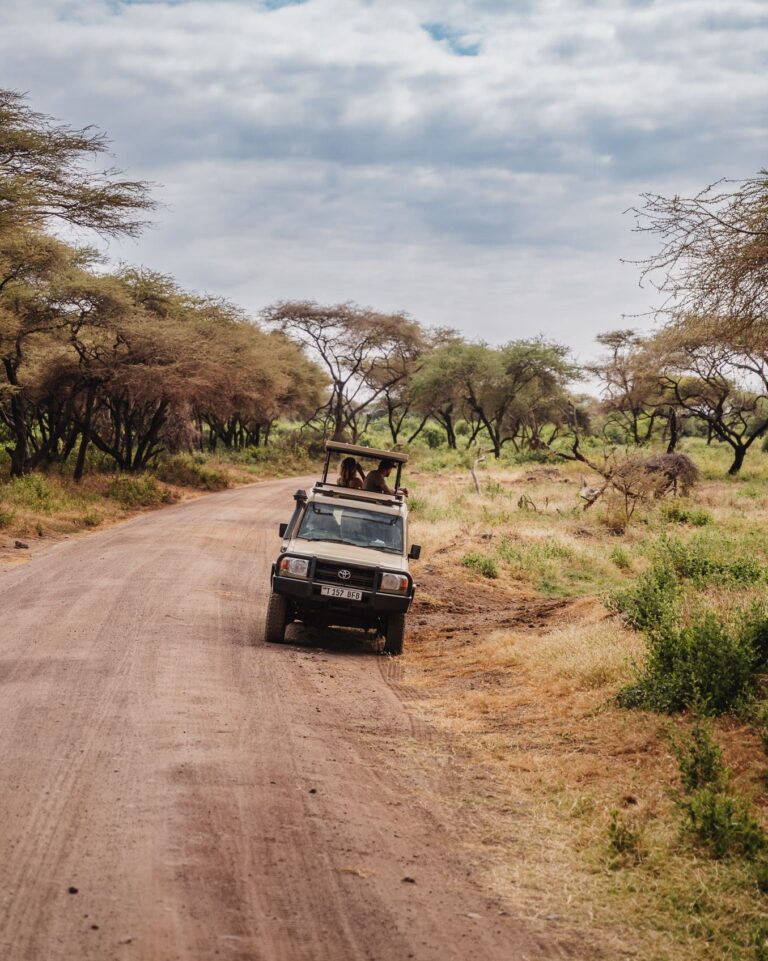 safari jeep driving on dirt road in tanzanian savanna